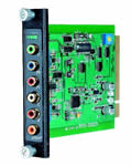 1 Channel Component Video & Stereo/Digital Audio Input Rack Card